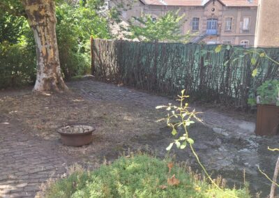 Jardin dégagé sous un platane après débroussaillage, avec allée pavée, à Saint-Étienne