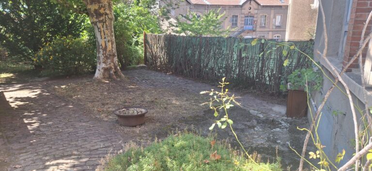 Jardin dégagé sous un platane après débroussaillage, avec allée pavée, à Saint-Étienne