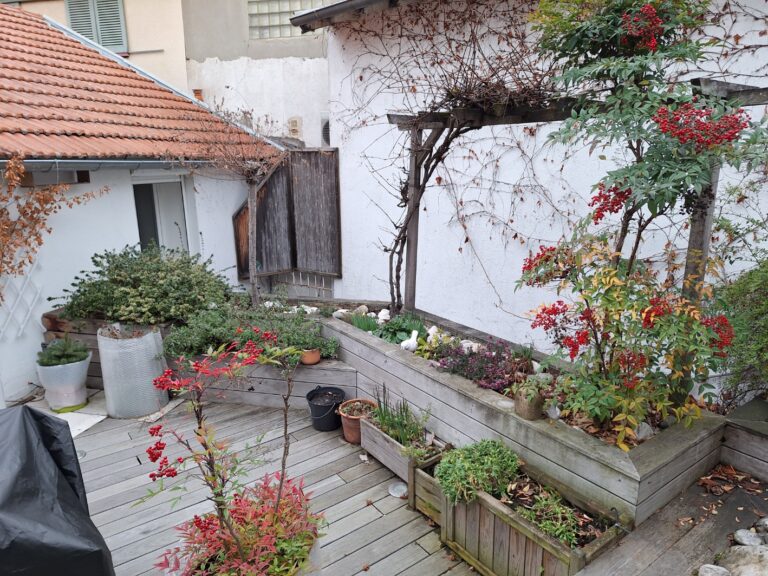 Bacs de plantation et pots sur la terrasse avant les travaux