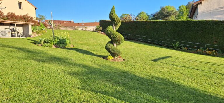 Topiaire taillée en spirale au milieu d'une pelouse entretenue