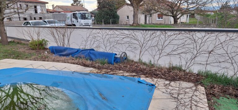Massif négligé et gazon usé le long du mur de la piscine avant les travaux