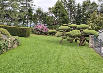 Entretien d&rsquo;un jardin paysager à Saint-Héand
