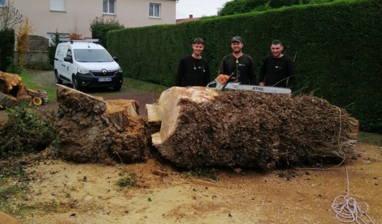 L'équipe Grataloup Paysage devant le tronc du peuplier abattu