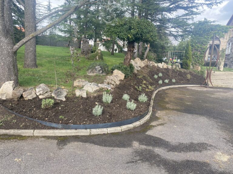 Massif planté avec bordure métallique, avant la pose du paillage