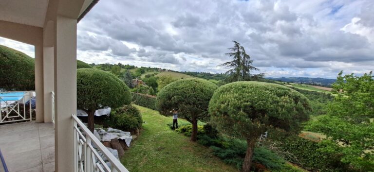 Conifères taillés en nuage dans un jardin en pente face à la vallée, Saint-Bonnet-les-Oules